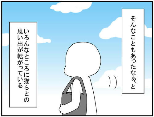 0c302446.jpg