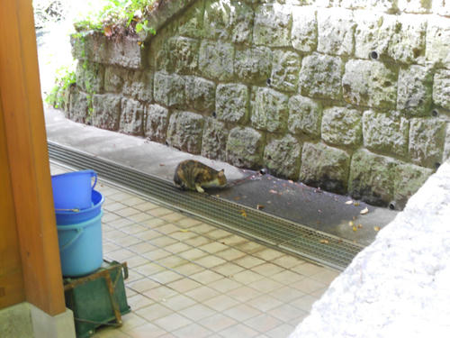 DSCN0431.jpg