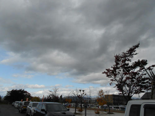 DSCN0511.JPG