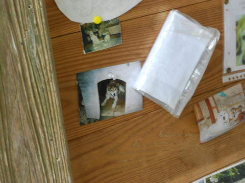 DSCN0532.JPG