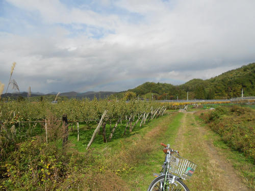 DSCN0585.JPG
