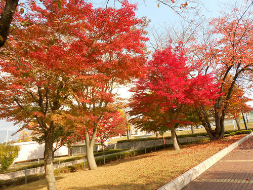 DSCN0671.JPG