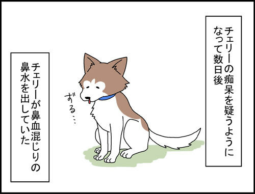 2523d588.jpg