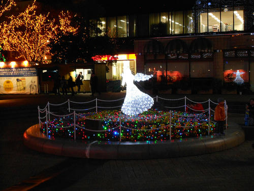 DSCN0728.jpg