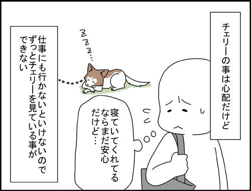 4664155e.jpg