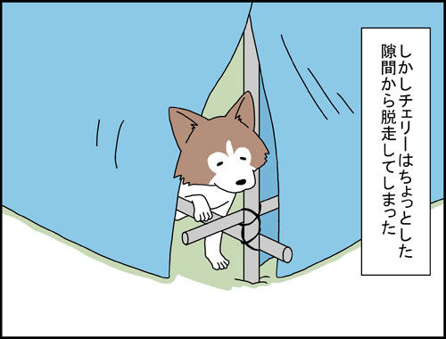 7ec24ff1.jpg
