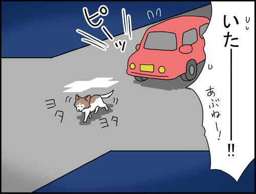 bdf46dcb.jpg