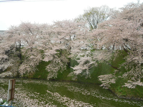 DSCN1178.JPG