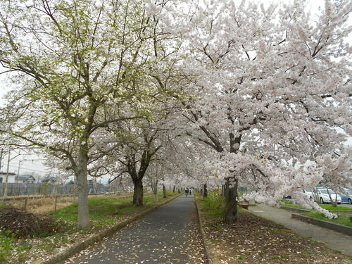 DSCN1184.JPG