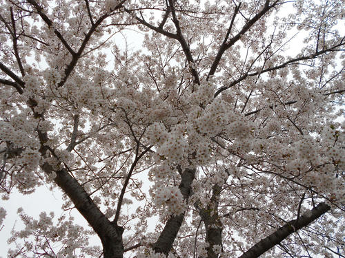 DSCN1188.JPG