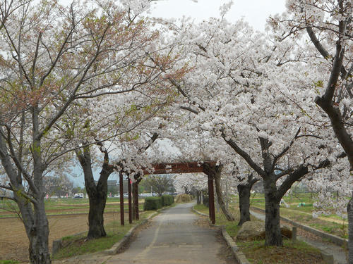 DSCN1190.JPG