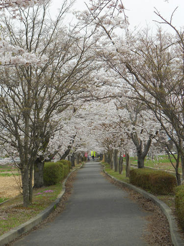 DSCN1193.jpg