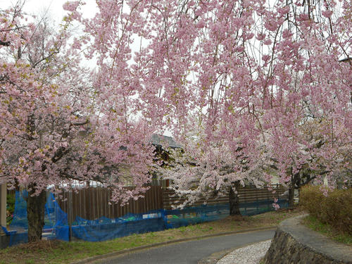 DSCN1199.JPG