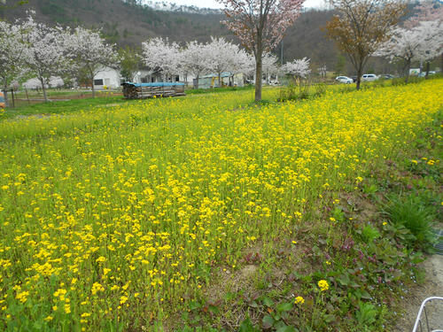 DSCN1204.JPG