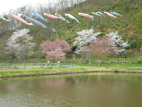 DSCN1211.JPG