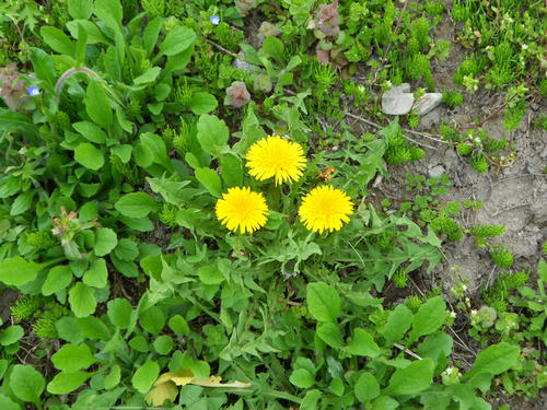 DSCN1216.JPG