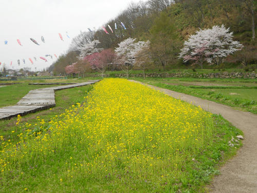 DSCN1218.JPG