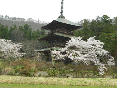 DSCN1219.JPG