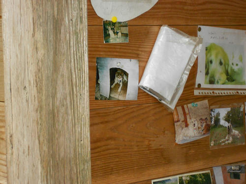 DSCN1227.JPG