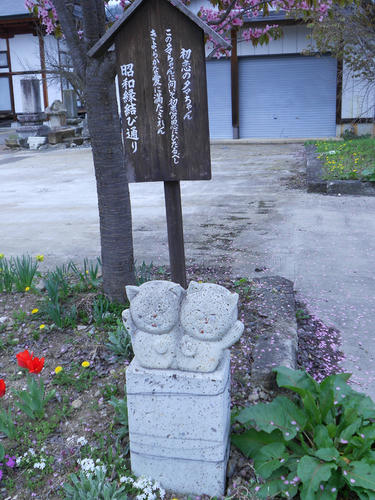DSCN1244.JPG