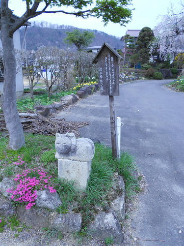 DSCN1247.JPG