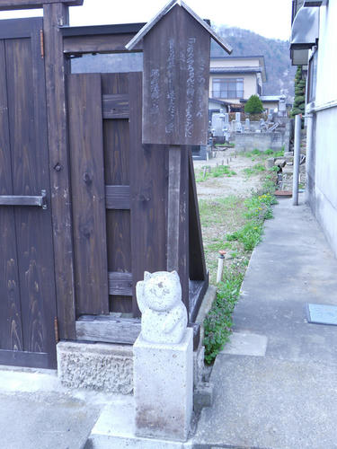 DSCN1249.JPG