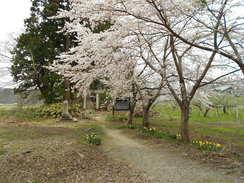 DSCN1229.jpg