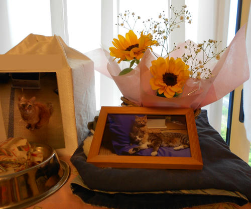 DSCN1360.JPG