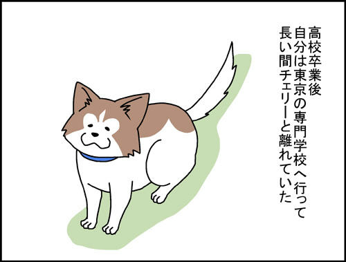 575b8937.jpeg