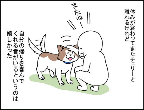 817a3477.jpeg
