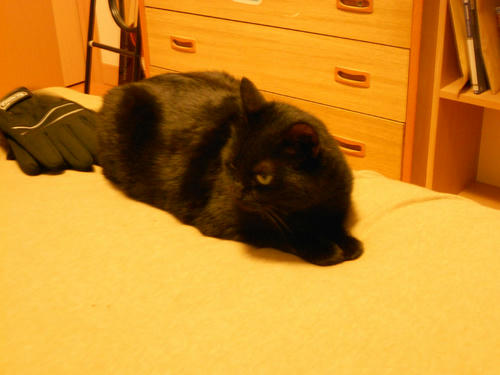 DSCN1776.JPG