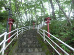 P1010188.JPG