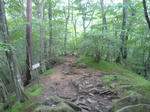 P1010191.JPG