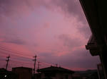 P1010085.JPG