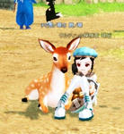 mabinogi_2010_09_23_002.jpg