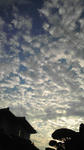 c5fb6208.jpg