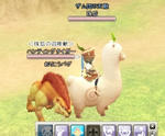 snapshot_20110506_230524.jpg
