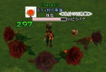 snapshot_20110528_095035.jpg