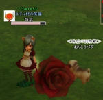 snapshot_20110528_095115.jpg