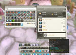 snapshot_20110626_170421.jpg