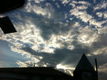 IMG_7919.jpg