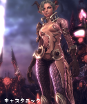 TERA_ScreenShot_20110701_205853.png