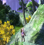 TERA_ScreenShot_20110702_184557.jpeg