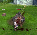 TERA_ScreenShot_20110702_185459.jpeg
