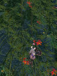 TERA_ScreenShot_20110702_192447.jpeg