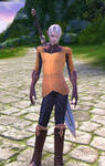 TERA_ScreenShot_20110704_225116.jpeg
