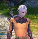TERA_ScreenShot_20110704_225152.jpeg