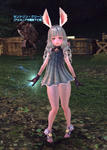 TERA_ScreenShot_20110812_120833.jpeg