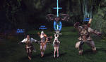 TERA_ScreenShot_20110813_001711.jpeg