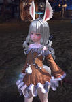 TERA_ScreenShot_20110814_124455.jpeg
